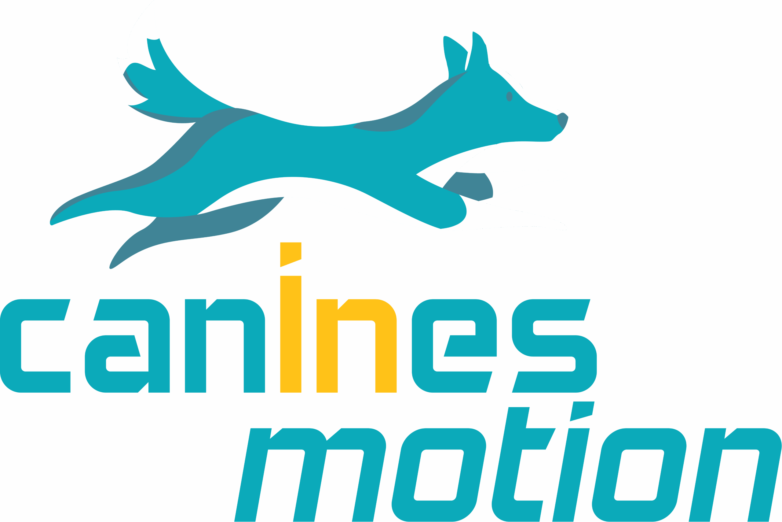Canines in Motion
